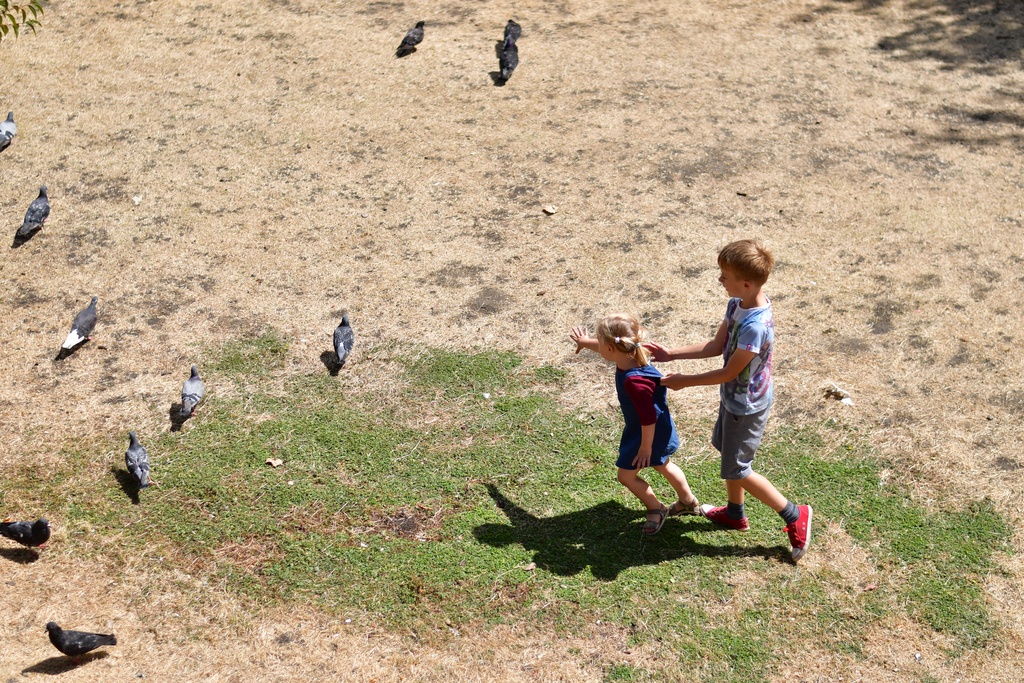 London/St James Park/DSC_2724.JPG